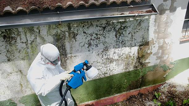 Top rated local Crawl Space Mold Remediation specialists in Star Tannery, VA